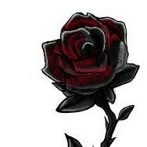 Meet your Posher, Dave